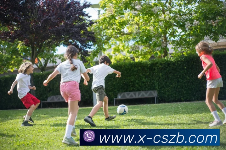 App Interface Preview